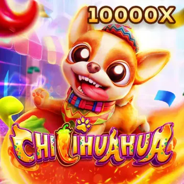 Fa Chai Chihuahua